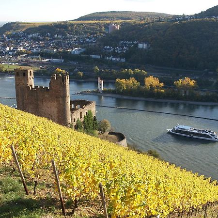 Hotel Lindenwirt Rüdesheim am Rhein Exteriér fotografie